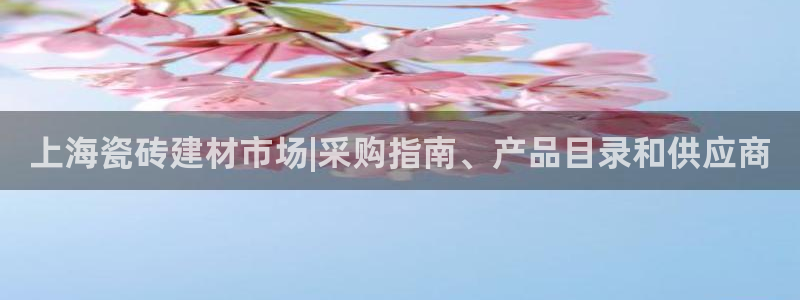 杏鑫平台线路测速