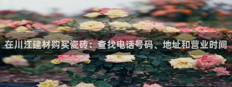 杏鑫娱乐多少年了
