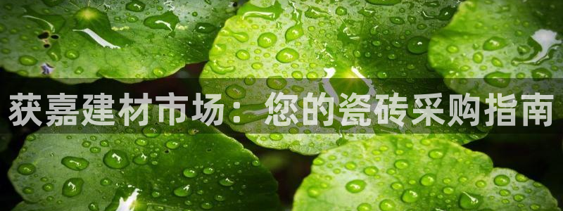杏鑫平台直属哪个公司