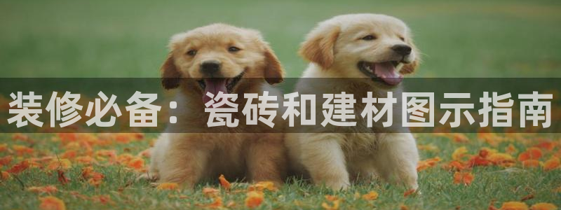 杏鑫注册登录平台