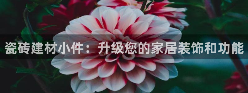 杏鑫平台注册入口