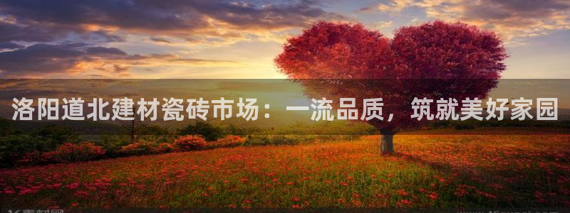 杏鑫平台注册地址在哪里