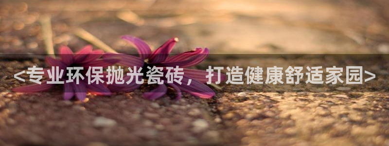 杏鑫平台线路测速