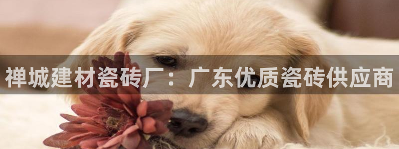 杏鑫平台正规吗