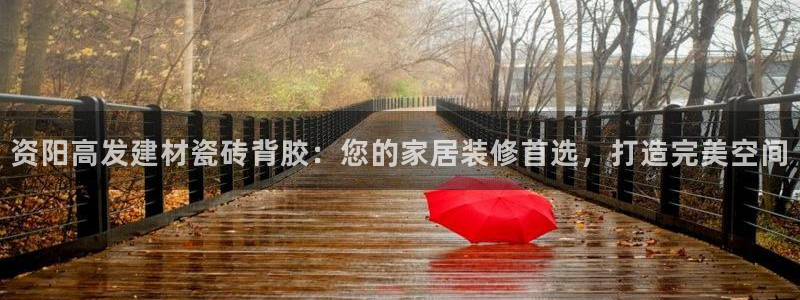 杏鑫官网最新信息新闻报道