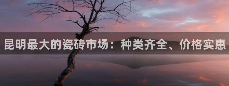 杏鑫平台招商怎么样可靠吗