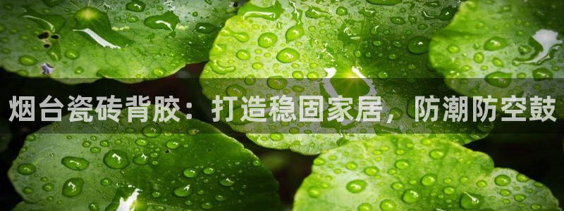杏鑫平台注册入口在哪