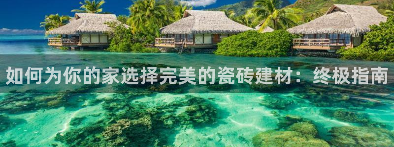 杏鑫平台登录地址查询