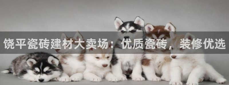 杏鑫娱乐官网登录