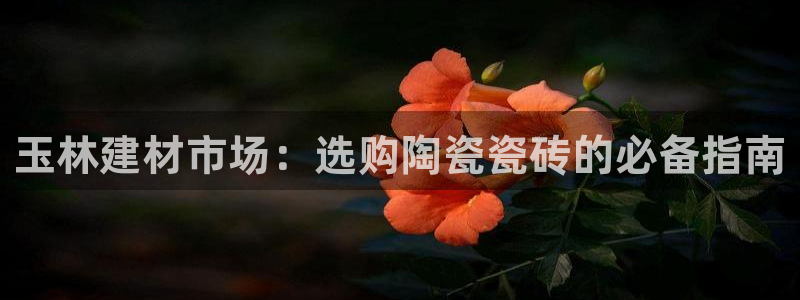 杏鑫平台怎么样黑钱吗