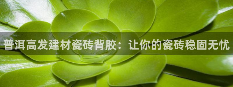 杏鑫平台代理怎么做的