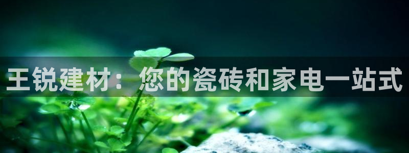杏鑫平台代理注册流程图