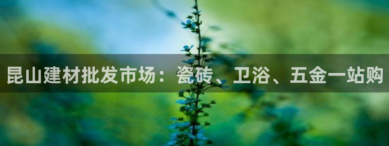 杏鑫官方平台怎么样啊可靠吗