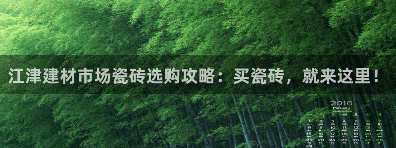 杏鑫平台注册网址查询