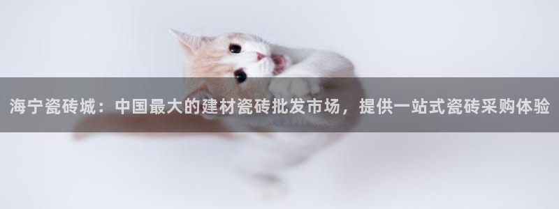 杏鑫登录测速