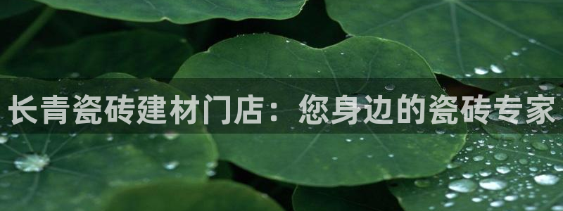 杏鑫注册登录