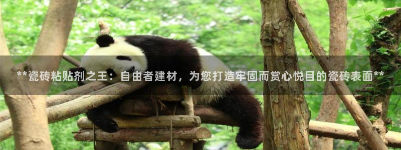 杏鑫娱乐官网登录