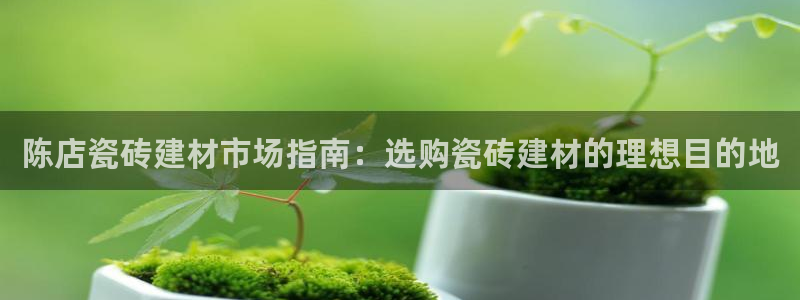 杏鑫娱乐平台登录注册网站