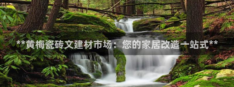 杏鑫娱乐官网登录不了