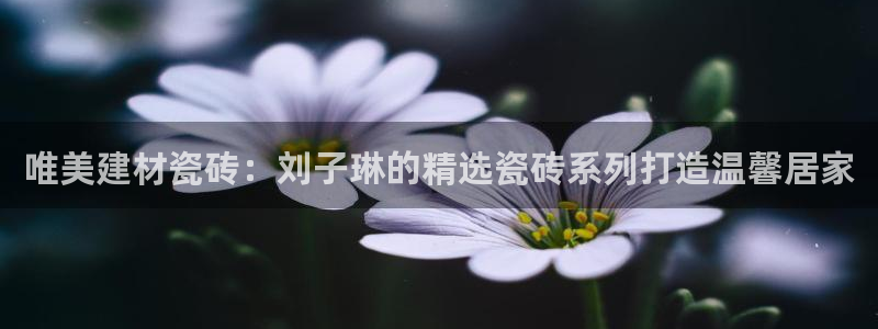 杏鑫官网注册账号怎么注册