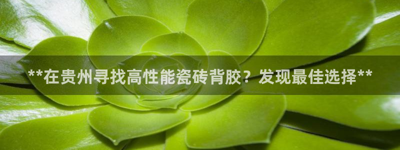 杏鑫注册登录网址是多少