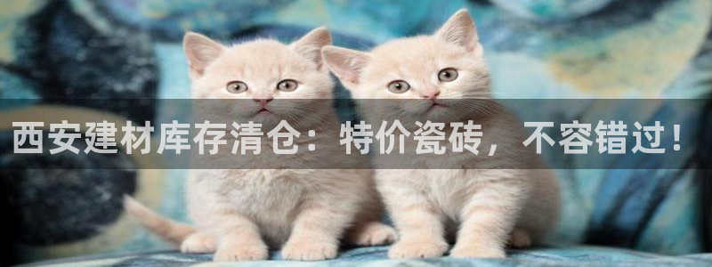 杏鑫平台注册入口