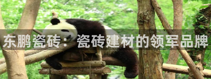 杏鑫平台代理注册登录不了怎么办呀视频