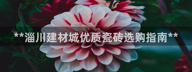 杏鑫娱乐官网登录