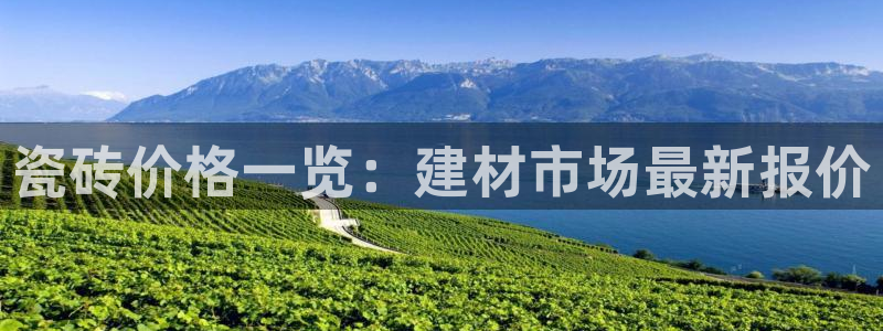 杏鑫平台代理