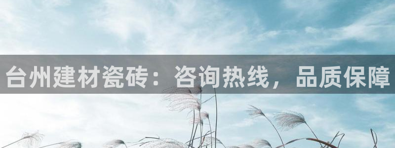 杏鑫平台招商电话