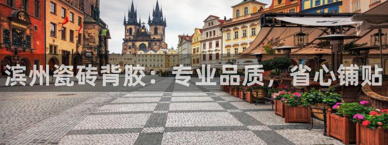 杏鑫平台代理注册多少钱一个