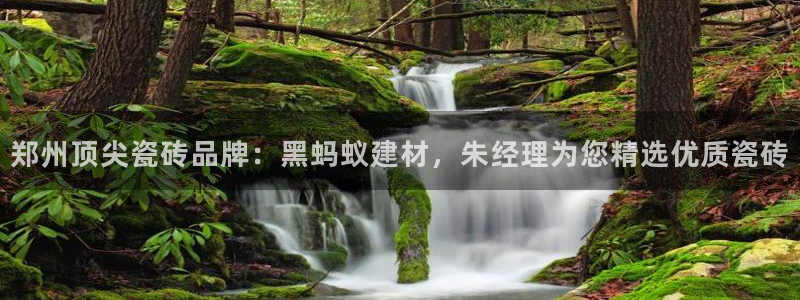 杏鑫登录注册测速