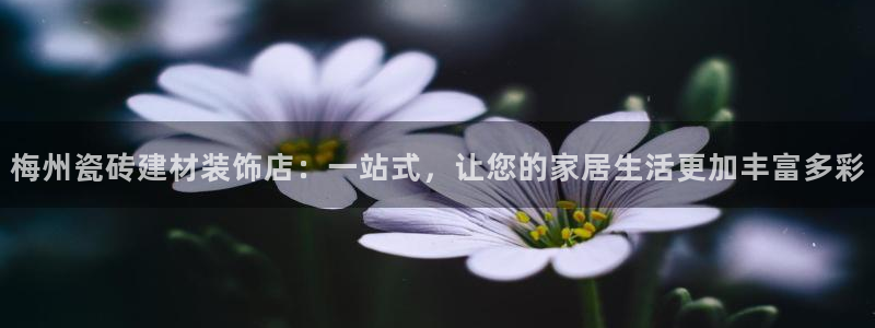 杏鑫官网注册账号是什么样的