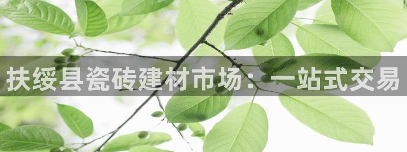 杏鑫注册平台官方网站是什么