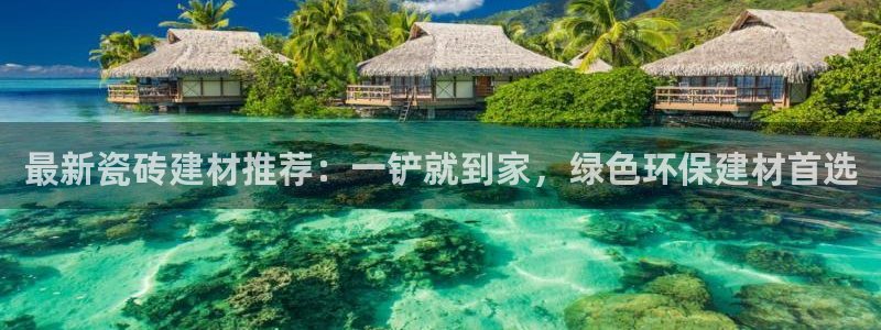 杏鑫3主管