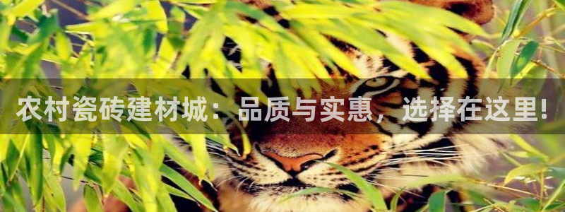 杏鑫注册登录平台