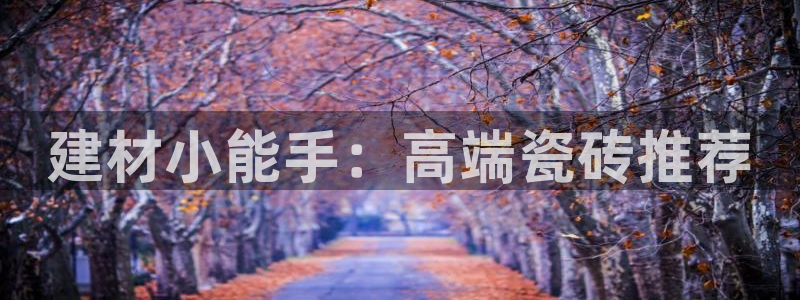 杏鑫平台代理注册多少钱