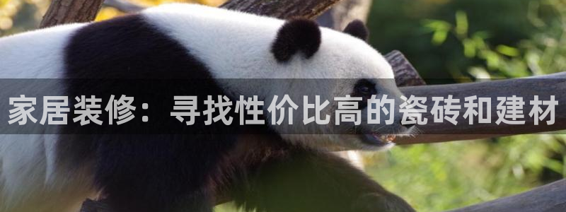 杏鑫平台代理注册登录不了怎么办呀