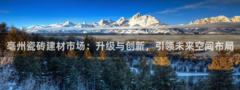 杏鑫平台正规吗