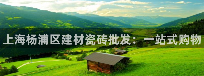 杏鑫平台平台