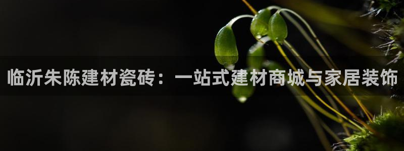 杏鑫注册平台官方网站入口