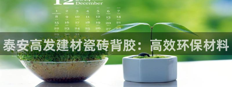 杏鑫官网注册账号怎么注册不了