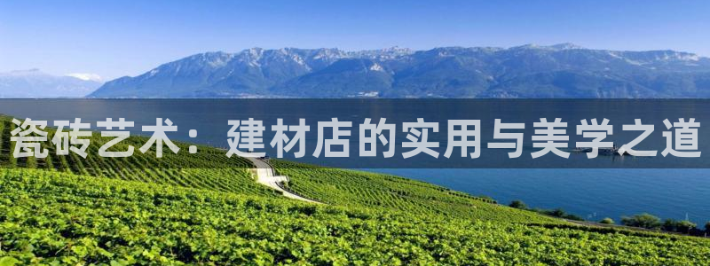 杏鑫注册地址