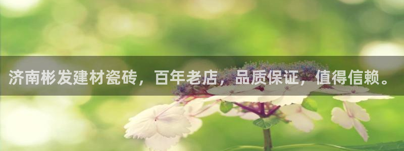 杏鑫平台代理注册流程图