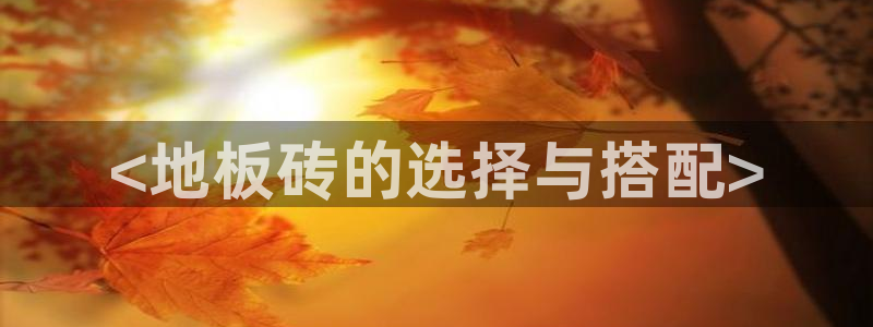 杏鑫平台注册地址在哪里