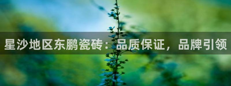 杏鑫官网注册账号密码