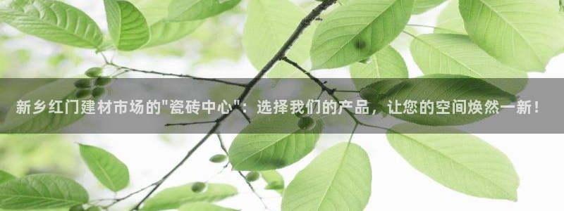 杏鑫娱乐怎么下