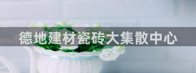 杏鑫平台代理注册流程