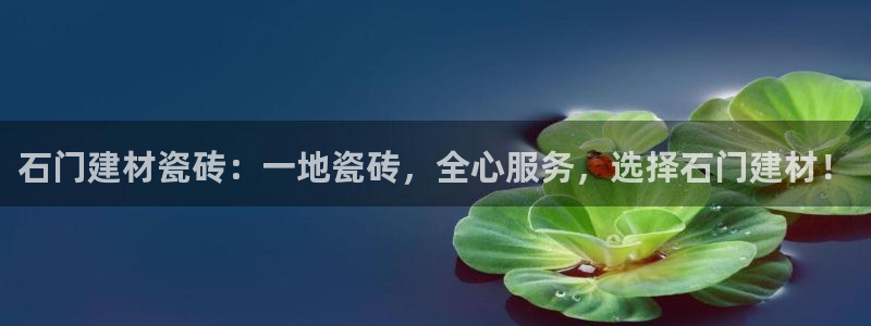 杏鑫娱乐平台登录