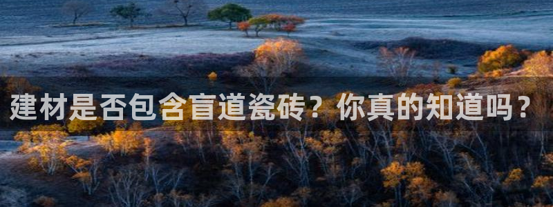 杏鑫平台登录地址查询